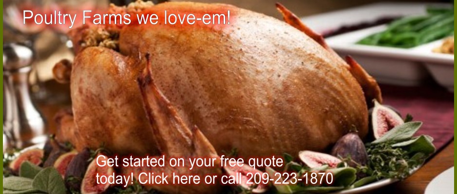 Poultry Farm Insurance
