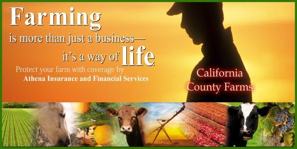 California Farm Insurance